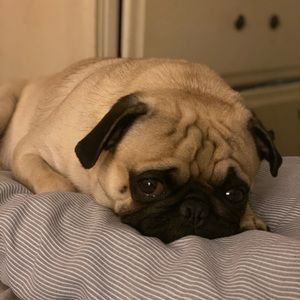 Meet your Posher, Mark